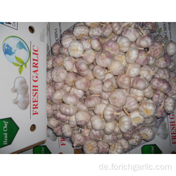 Fresh New Crop normaler weißer Knoblauch 5.0cm